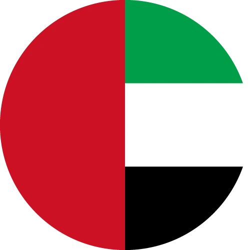 UAE flag